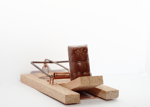 mouse trap with chocolate